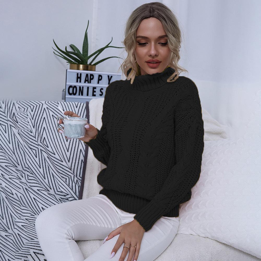 Casual Solid Knit Sweater Ladies V Neck Crew Neck Warm Daily Long Sleeve Blouse