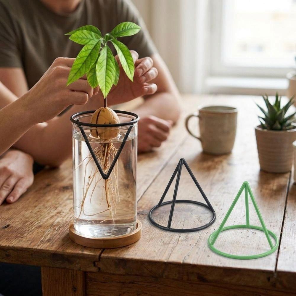 3Pcs Stable Avocado Germination Stand Floating Gardening Vase Holders Home Indoor Desk