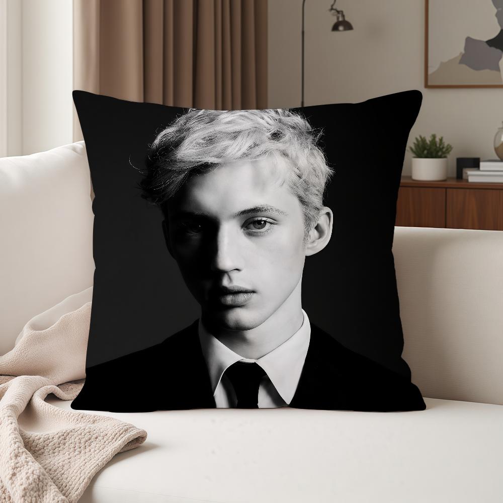 Singer Troye Sivan Blue Neighbourhood Pillow Case Suitable For Bedrooms Living Rooms Cars Home Decoration