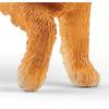 Schleich English Cocker Spaniel SL13896, 1 шт., популярные игрушки в Корее