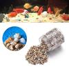 1300-1500Pcs/Box Natural Shell Conch Ornaments Accessories Parts DIY Material Jewelry Components Fish Tank Home Decoration