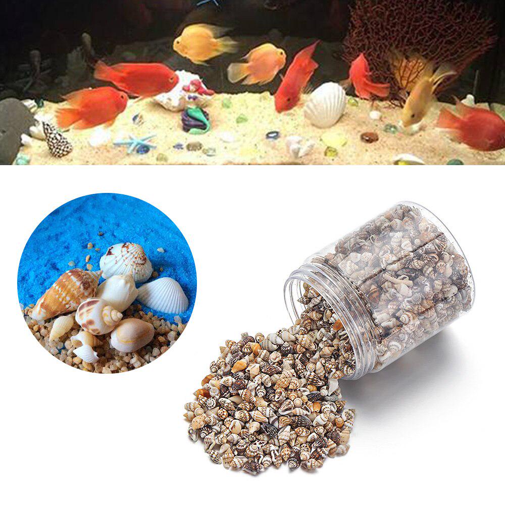 1300-1500Pcs/Box Natural Shell Conch Ornaments Accessories Parts DIY Material Jewelry Components Fish Tank Home Decoration