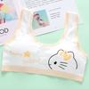 Puberty Students Bra Vest Brassiere Panties Teenagers Girls Lingerie Cotton Underwear Sets