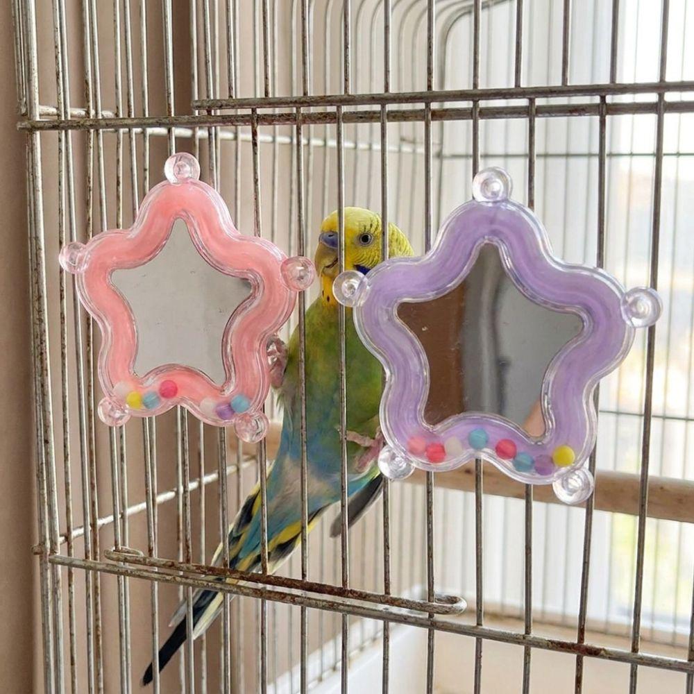 Colorful Beads Star Rotating Parrot Mirror Toy Mirror Parrot Interactive Toy Bird Supplies