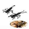20PCS Soft Stonefly Nymph for Trout Bluegill Perch Creek Fishing Bait Lure Artificial Fishing Bait Soft Lure for Ice Fishing Jig