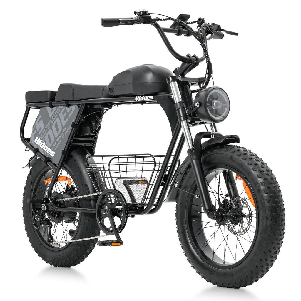 Hidoes HD-B9 All-Terrain Electric Bicycle 750W Motor 48V33.8Ah Battery 20 Inch Off-Road Tires Outdoor Riding E-Mountain Bike