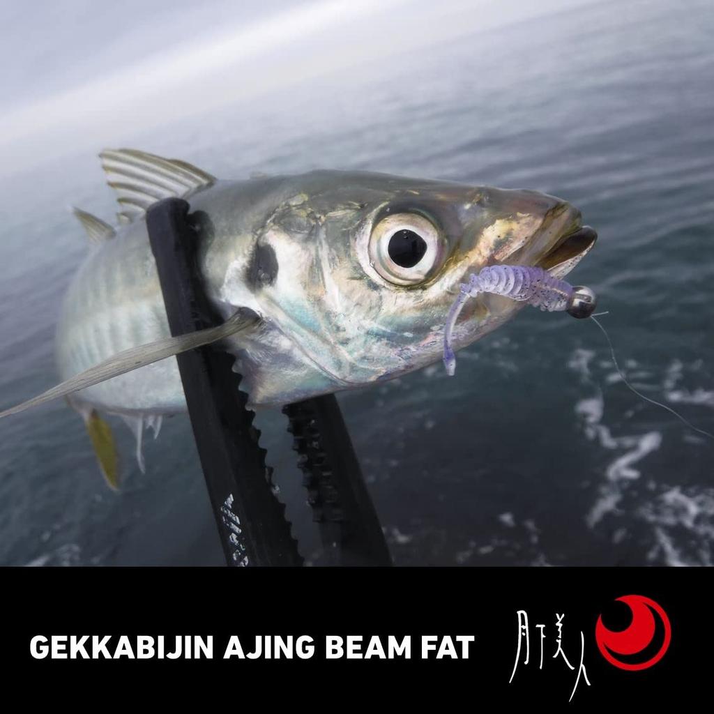 DAIWA Gekka Bijin Aging Beam FAT 1.5 inch Sakura Dot