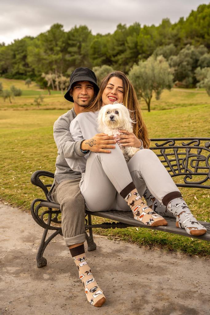 Собаки - цветные носки 36-39