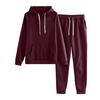 2 Pcs/Set Women Hoodie Pants Suit Solid Color Plush Long Sleeves Thick Top Elastic Waist Ankle-banded Trousers Sport Fitness