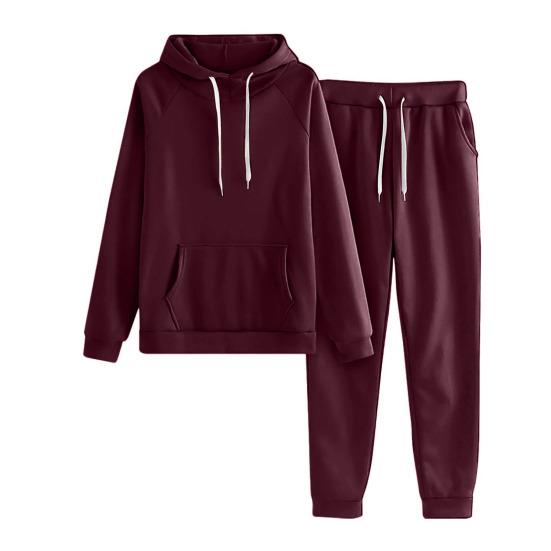 2 Pcs/Set Women Hoodie Pants Suit Solid Color Plush Long Sleeves Thick Top Elastic Waist Ankle-banded Trousers Sport Fitness