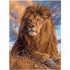5D Diy Алмазная картина Мужской лев Вышивка Крестом Домашний декор Ручной подарок Подарок