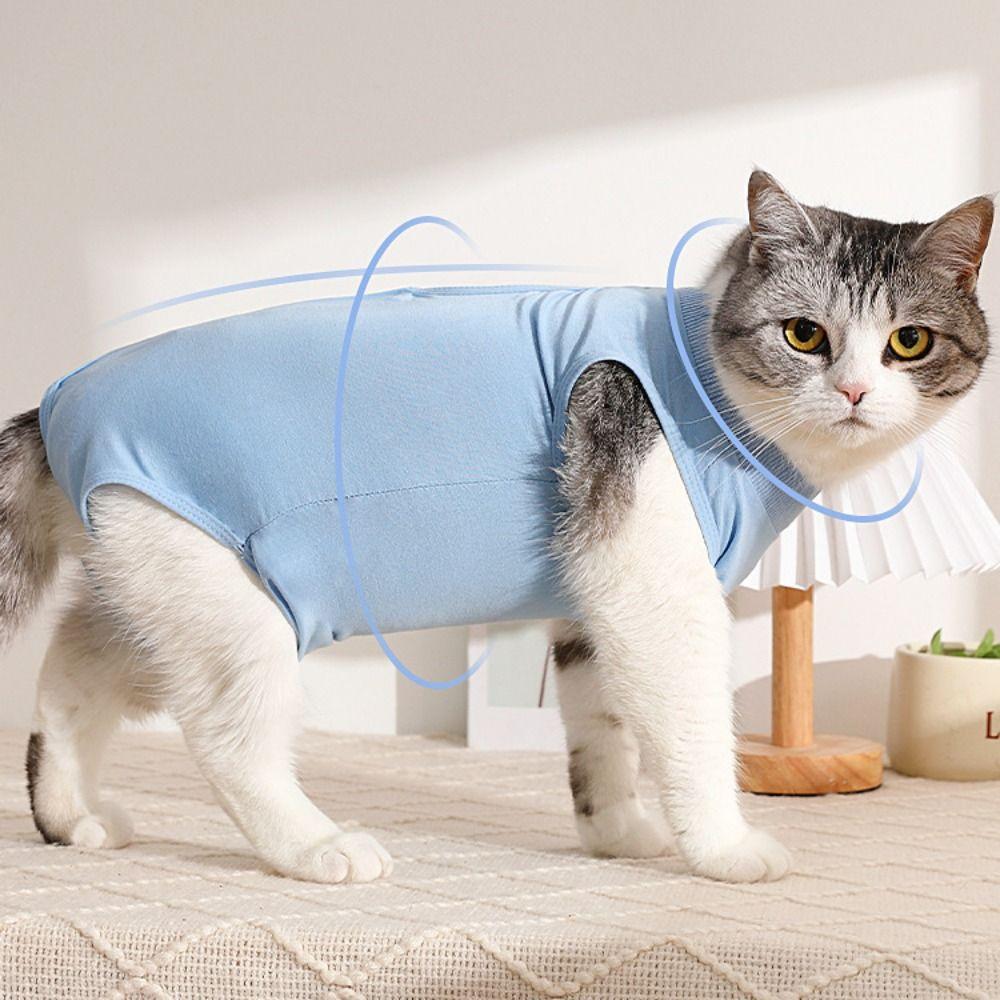 Анти-лизающая одежда для восстановления котят после операции, костюм для стерилизации кошек, костюм для отъема кошек для домашних животных