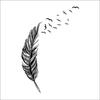 Premium Quality Removable Flying Feather Design Wall Stickers For Elegant Home Decor