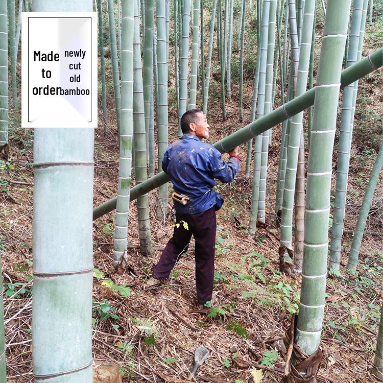 Bamboo Tile Decorations: Hollow Halved Bamboo Tubes for Floral Arrangements, Weddings, and Kindergarten Environments