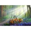 DIY 5D Diamond Painting Forest Mushroom Diamond Embroidered Mosaic Cross-stitch