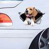 Cute Beagle In the Hole Creative Design Sticker, 1pc Funny Car Decal, Suitable for Cars, Trucks, Motorcycles, Walls