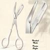 1pc/24pcs With Comb Eyebrow Trimming Scissors Stainless Steel Beauty Tool  Personal Beauty Care