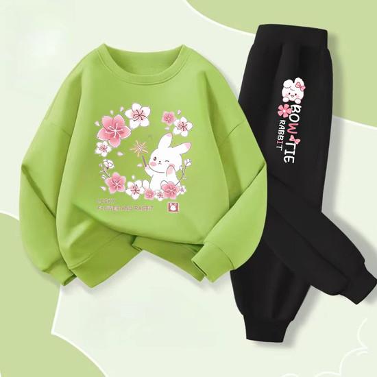 Cute Rabbit Printed Baby Girls Spring New Style Hoodies Sets Children's Sweatshirt Sweatpant Two Piece Suit Kids Outdoor Outfits