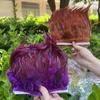 1 Meter Fluffy Rooster Feather Ribbion Fringe 4-6inc Tassless Crafts Dress Decoration Natural Colored Chicken Plumes Accessories