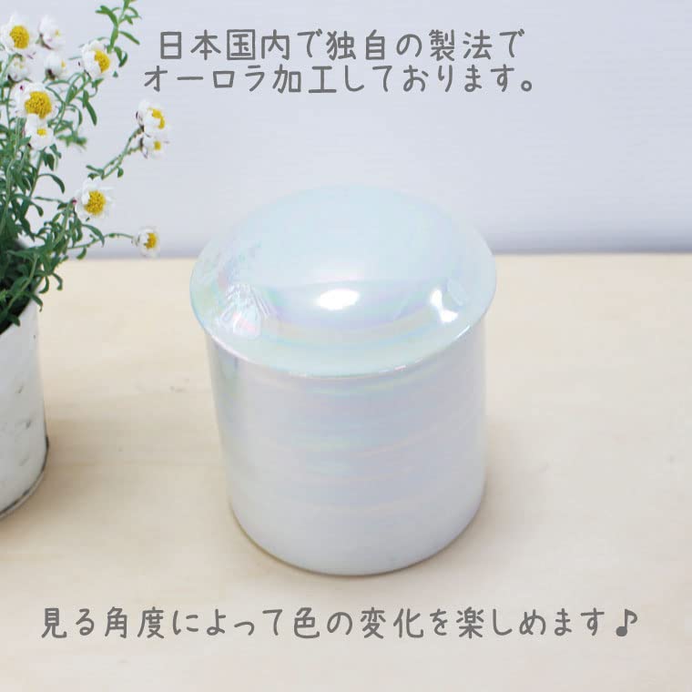 Welcome Home Rainbow Urn for Pets, White, Rainbow and Aurora Design, Cute Urn for Divided Ashes, Keeping Cremation (3.5 inches)