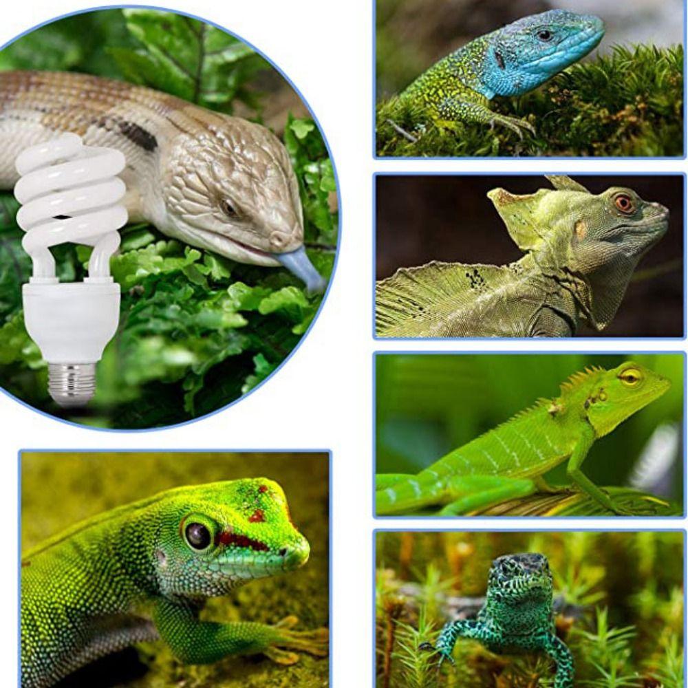 Snake Turtle Energy Saving Heat Calcium Lamp Bulb Reptile Light Succulent UV Light Heating Lamp