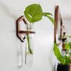 Plant Propagation Station Wall Hanging Wooden Plant Terrarium for Hydroponics Home Office Decor Test Tube Propagate Air Plant Cutting Holder