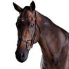 Collegiate Comfitec Crystal Leather Bridle