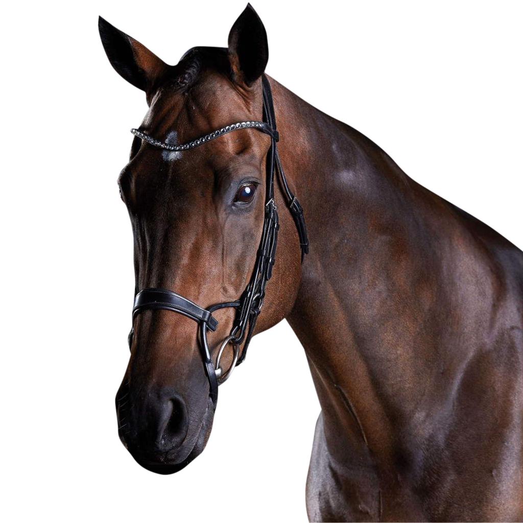Collegiate Comfitec Crystal Leather Bridle