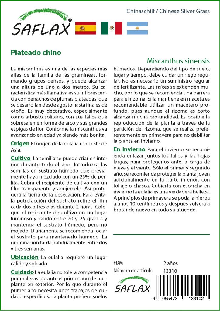 SAFLAX Китайская серебристая трава - 200 семян - Miscanthus sinensis