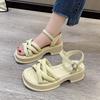 Fairy Style Roman Sandals Female Spring 2025 New Fashion Retro Versatile Small Platform Beach Shoes Tide