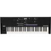 KORG Wavestate SE Synthesizer, Max Stereo, 96 Voices, 61 Keys, Hard Case Included