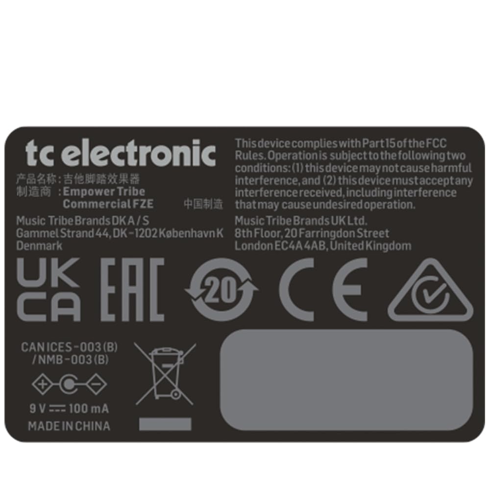 Tc Electronic Delay FLASHBACK 2 DELAY LOOPER &