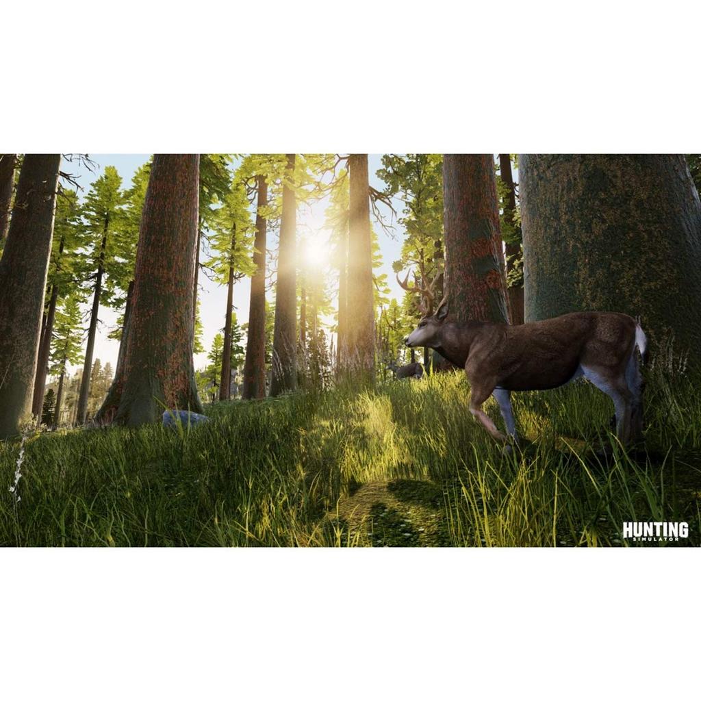 Hunting Simulator (North American Import) – PS4
