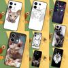 Чехол Сфинкс для Xiaomi Redmi 13C 12 12C 9C 10C Redmi Note 11 12 13 Pro 9 10 10S 11S 12S Задняя крышка