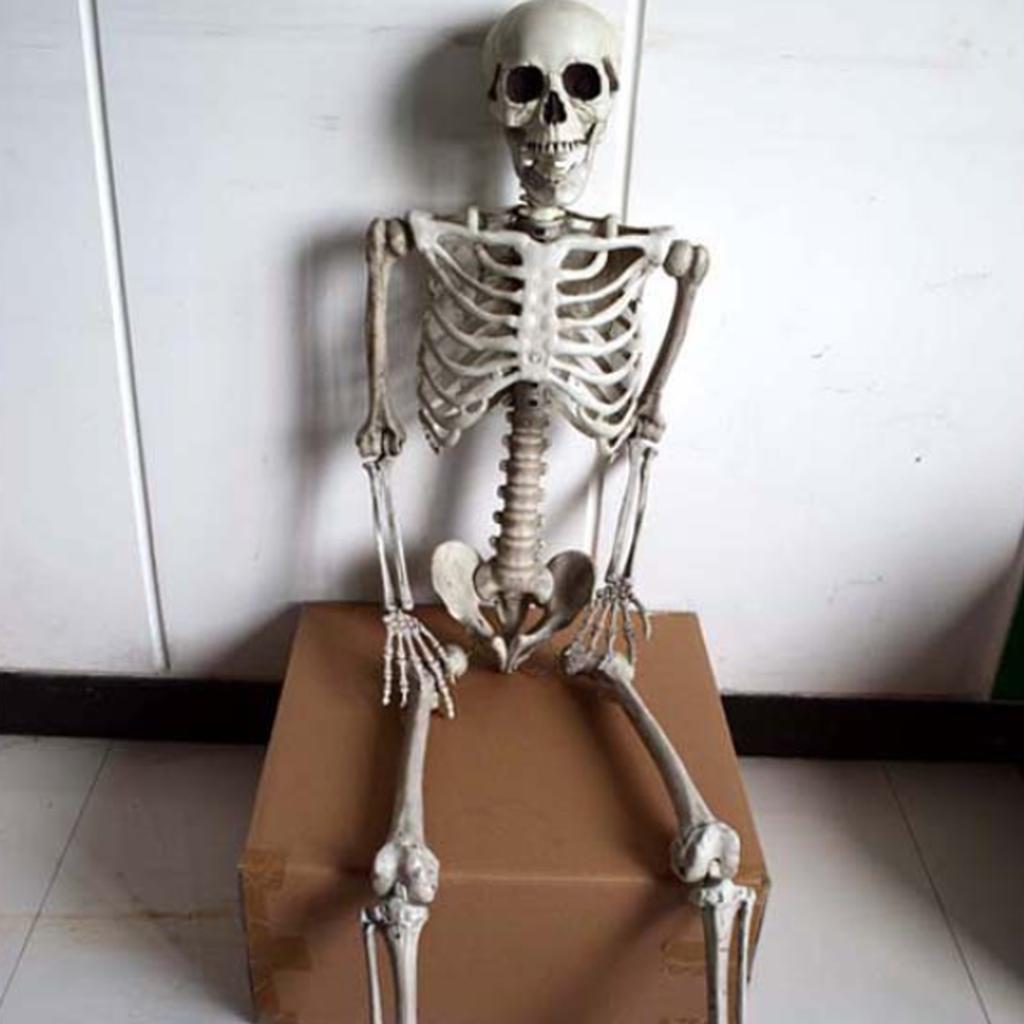 Halloween Movable Skull Skeleton Life Size Full Body Posable Joints Skeletons for Children Girls Boys Party Gift