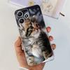 Cute Flower Cat Painted Case For Xiaomi Redmi 12 5G 2023 Soft Silicone TPU Back Cover For Redmi12 5G Global Phone Bumper