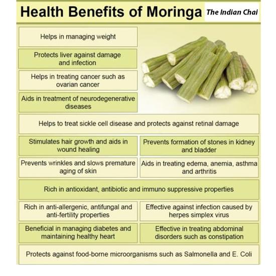 The Indian Chai – Органический листовой чай Moringa Oleifera Super Food 50 г Помогает повысить уровень энергии и иммунитета, похудеть, снять стресс
