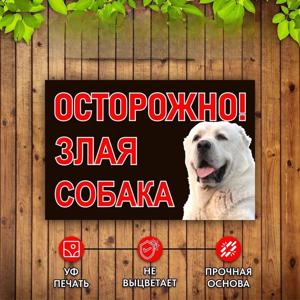 Осторожно Собака во дворе Без поводка