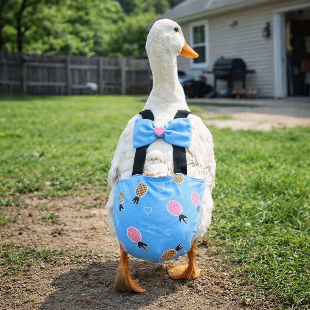 Elastic Band Chicken Physiological Pants Adjustable Poultry Nappy Poultry Costume Goose Duck