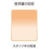 Coffret Foundation Nude Cover Long Keep Pact UV Beige D d'Or