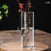 Transparent Glass Hydroponic Vase Modern Small Cylinder Flower Centerpiece Vases Use for Floral Wedding Home Decoration