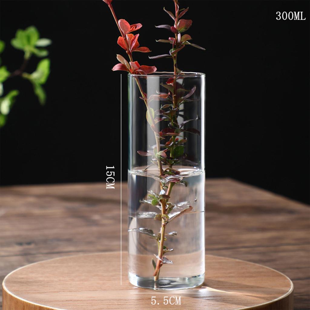 Transparent Glass Hydroponic Vase Modern Small Cylinder Flower Centerpiece Vases Use for Floral Wedding Home Decoration