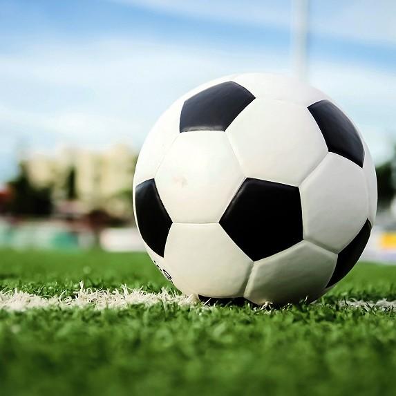 THAILAND National Football Soccer Training JERSEY CHEER Print Quick Dry Shirt V Neck Polyester Short Sleeve Uniform Elephant Logo Sport Outdoor