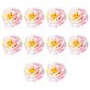 10Pcs Artificial Flower Head Small Flower Head For Wedding Flower Arrangements Sewing Craft Clothing Cake Top Decoration