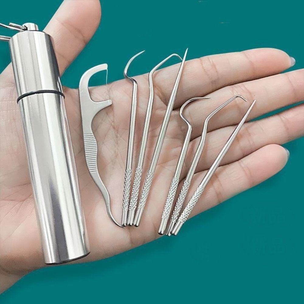 Oral Cleaning Tool Toothpick Pocket Set Stainless Steel Toothpick Set Tooth Pick Keychain Holder