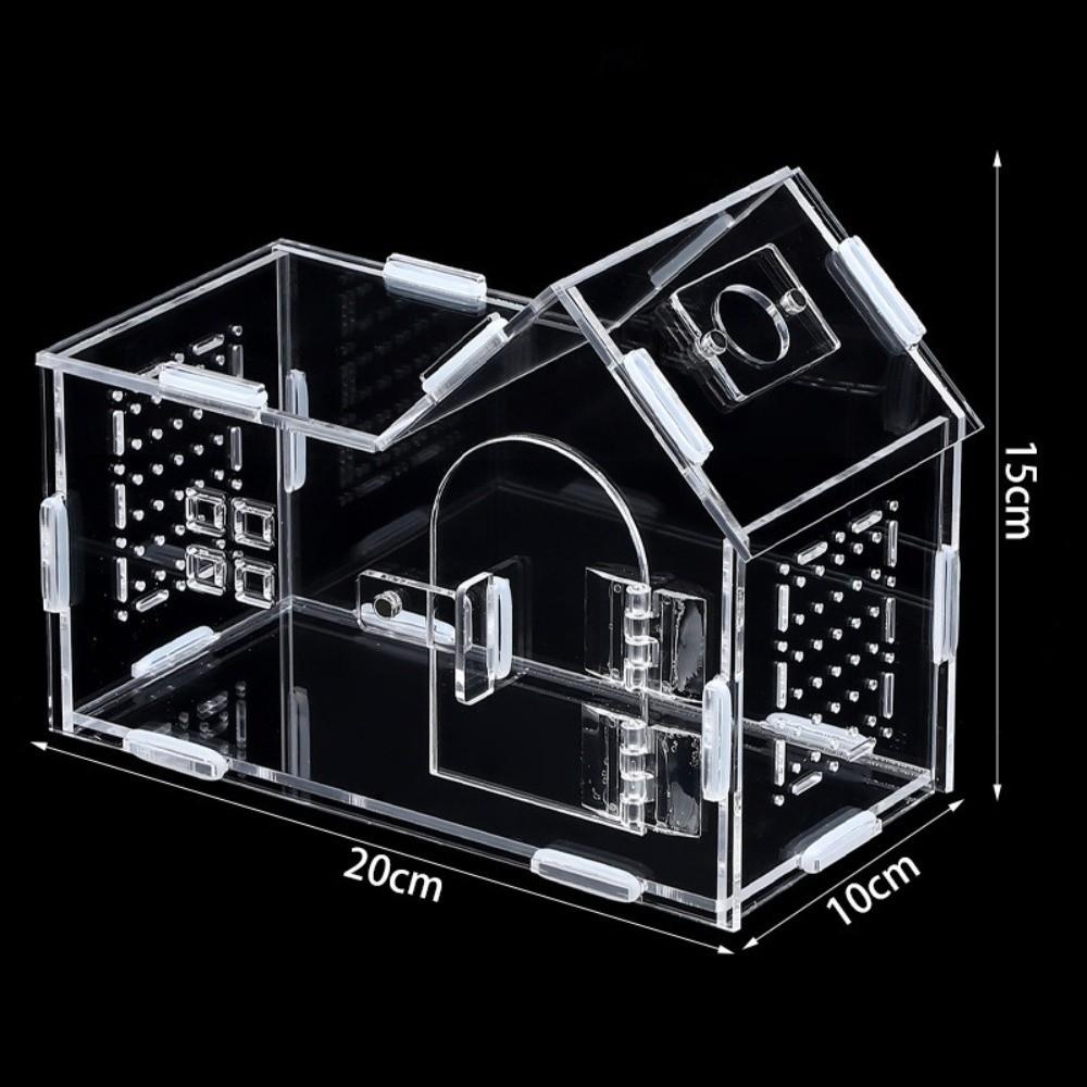 Новый акриловый террариум для рептилий, вентилируемый, с защитой от побега, кормушка для пауков, прозрачный вольер для древесных тарантулов, товары для мелких животных