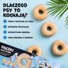 Collagen Donut with Chicken and Coconut Dog Treat Uniq Pets 1 Pcs
