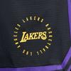 Nike X NBA Dri-Fit SS25 Спортивные Повседневные Мягкие Удобные Шорты Мужские Шорты Черные FQ3212-010