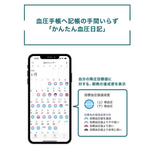 Тонометр на запястье OMRON серии HEM-6230 HEM-6231T2-JE