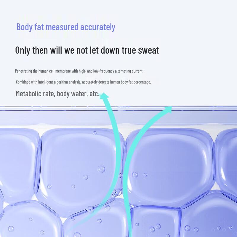 Bear Smart Bluetooth Body Fat Scale